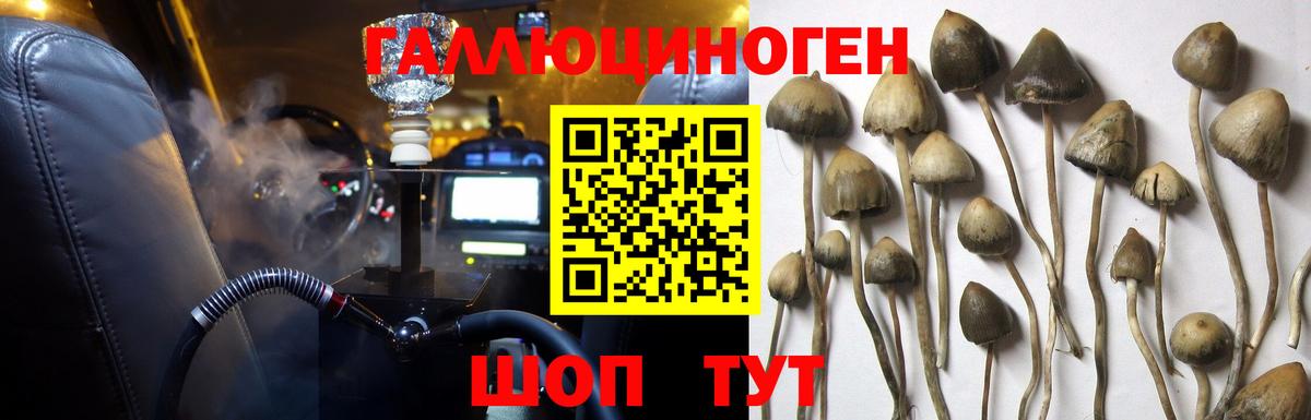 Псилоцибиновые грибы Magic Shrooms Новомосковск